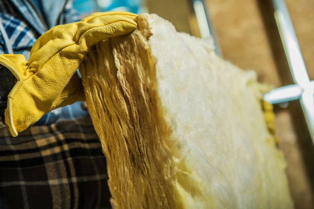 Best Insulation Maintenance and Repair in Greenville, TX