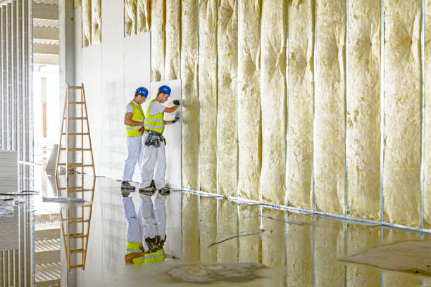 Best Blown-in Insulation in Greenville, TX